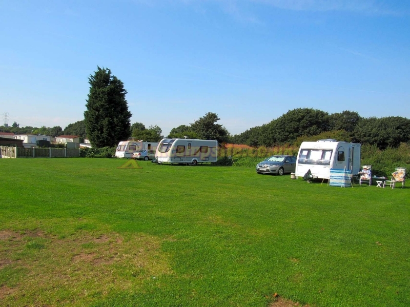 Tall Trees Touring Park