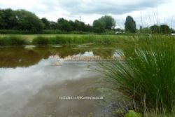 Tall Trees Touring Park
