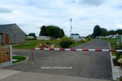 Tall Trees Touring Park