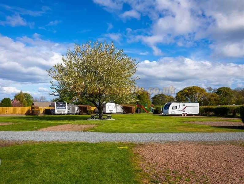 Drummohr Camping And Glamping Site