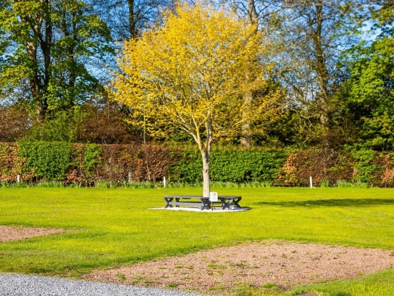 Drummohr Camping And Glamping Site