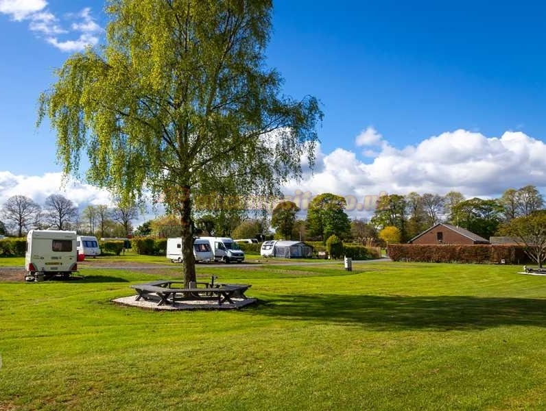 Drummohr Camping And Glamping Site