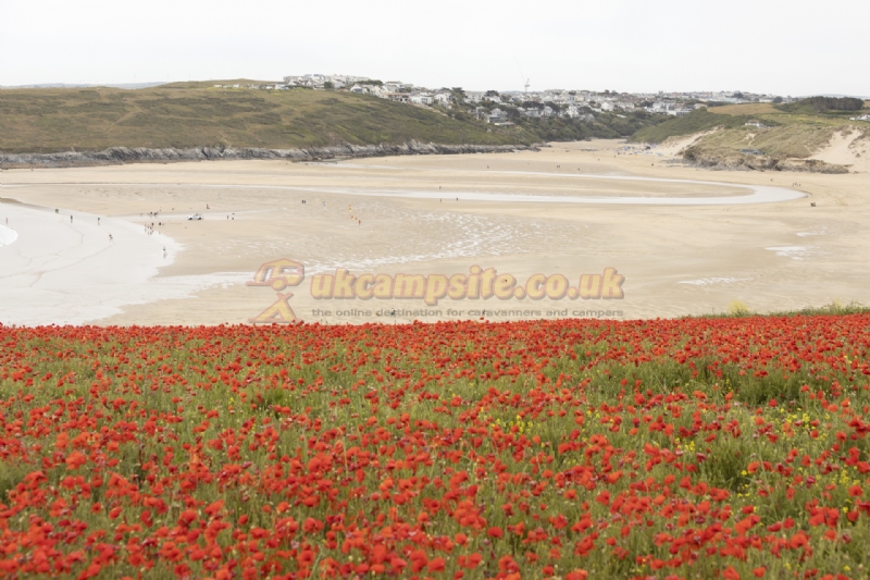 Crantock Beach Holiday Park - Parkdean Resorts