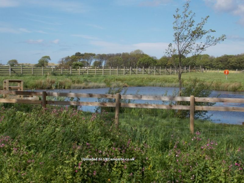 Lyons St Marys Holiday Park