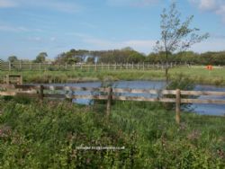 Lyons St Marys Holiday Park