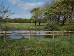 Lyons St Marys Holiday Park