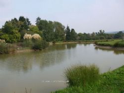Twelve Oaks Farm Caravan Park