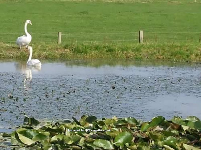 Twelve Oaks Farm Caravan Park