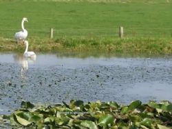 Twelve Oaks Farm Caravan Park