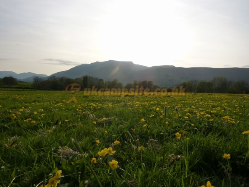 Gill Head Farm