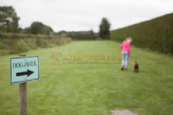 Elm Cottage Touring Park