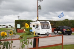 Elm Cottage Touring Park