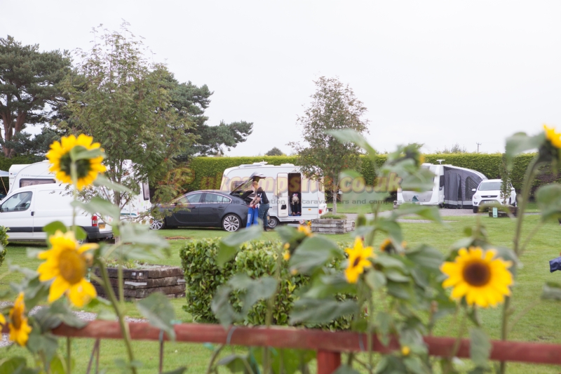 Elm Cottage Touring Park