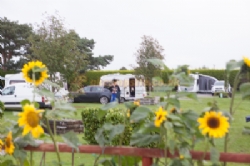 Elm Cottage Touring Park