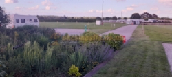 Elm Cottage Touring Park