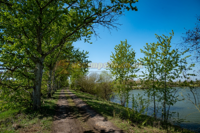 Gatton Waters Caravan Site And Fishery