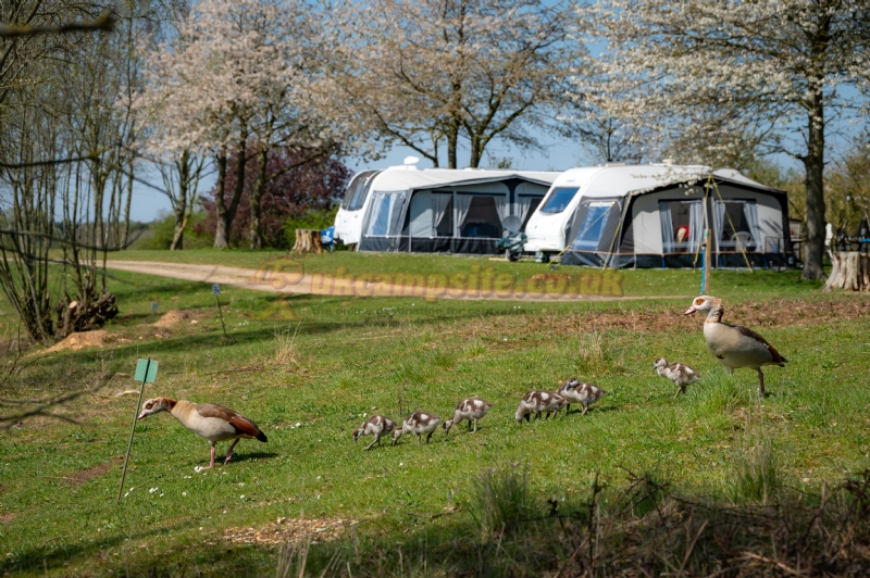 Gatton Waters Caravan Site And Fishery