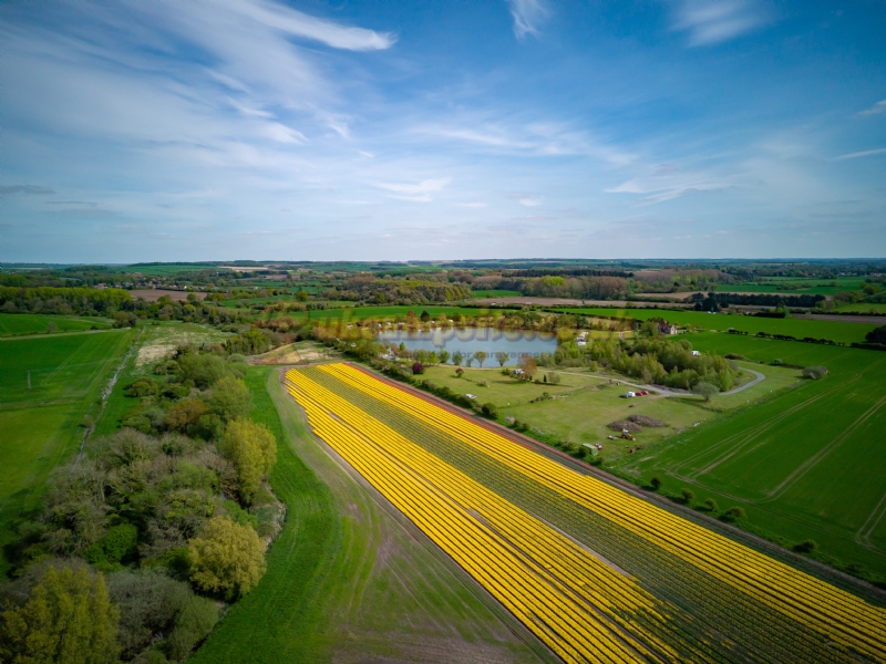 Gatton Waters Caravan Site And Fishery