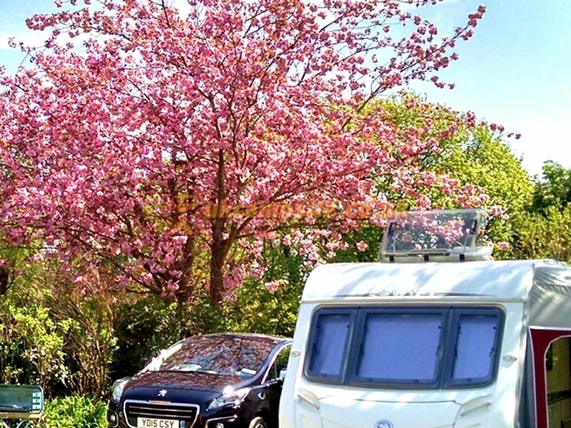 Wysdom Touring Park