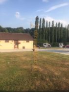 Glenfield Caravan Park