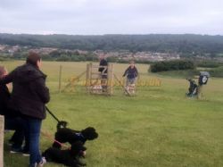 West End Farm Caravan And Camping Park