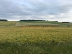 East Balthangie Caravan And Camping Park