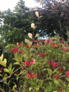 East Balthangie Caravan And Camping Park