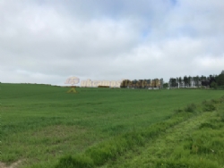 East Balthangie Caravan And Camping Park