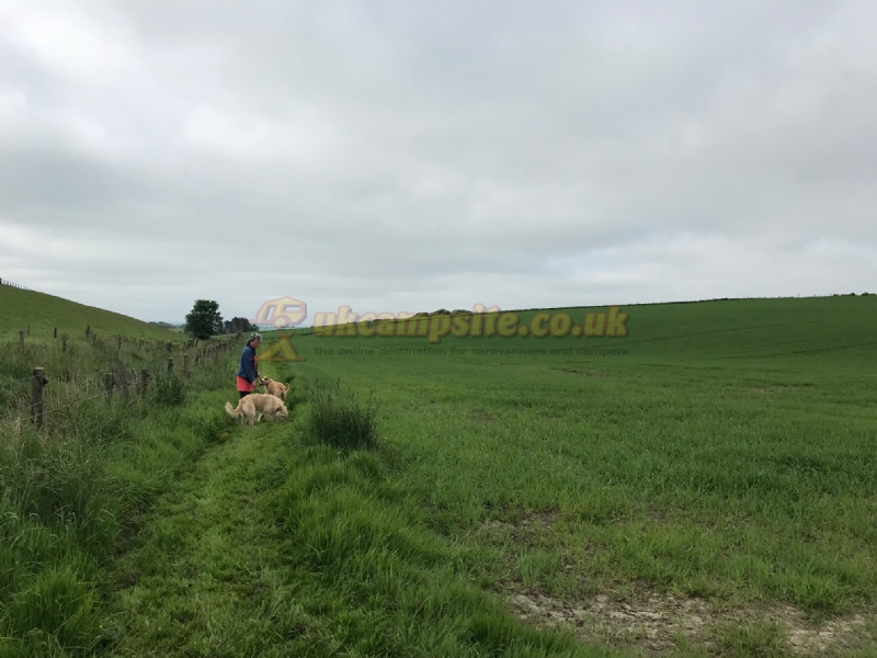 East Balthangie Caravan And Camping Park
