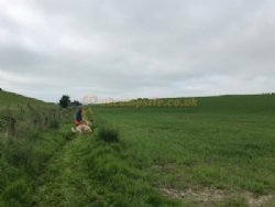 East Balthangie Caravan And Camping Park