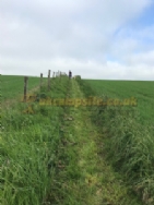 East Balthangie Caravan And Camping Park