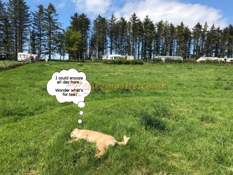East Balthangie Caravan And Camping Park