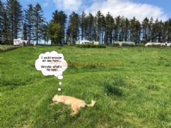 East Balthangie Caravan And Camping Park