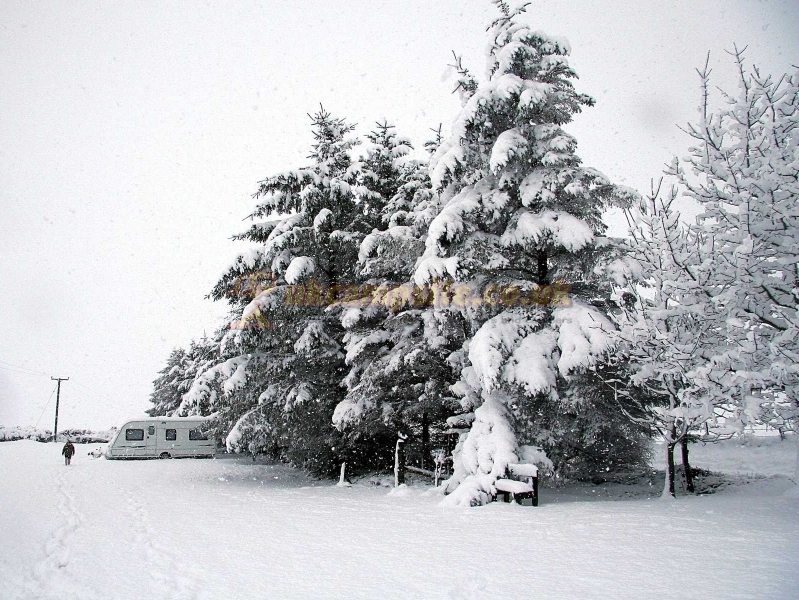 East Balthangie Caravan And Camping Park