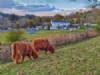 South Whittlieburn Farm