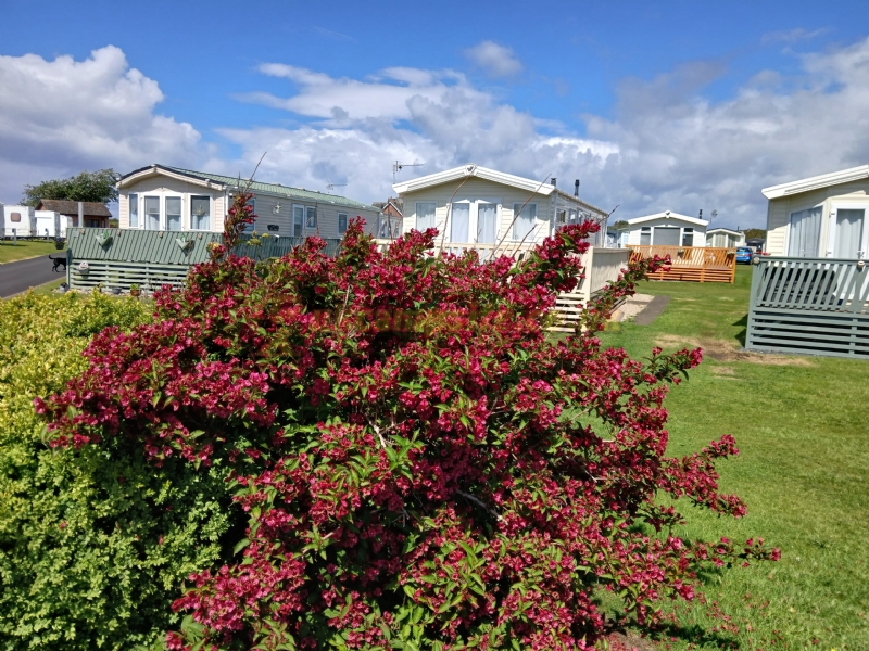 Prestwick Holiday Park