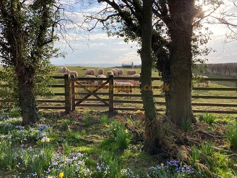 Elford Farm Caravan Park