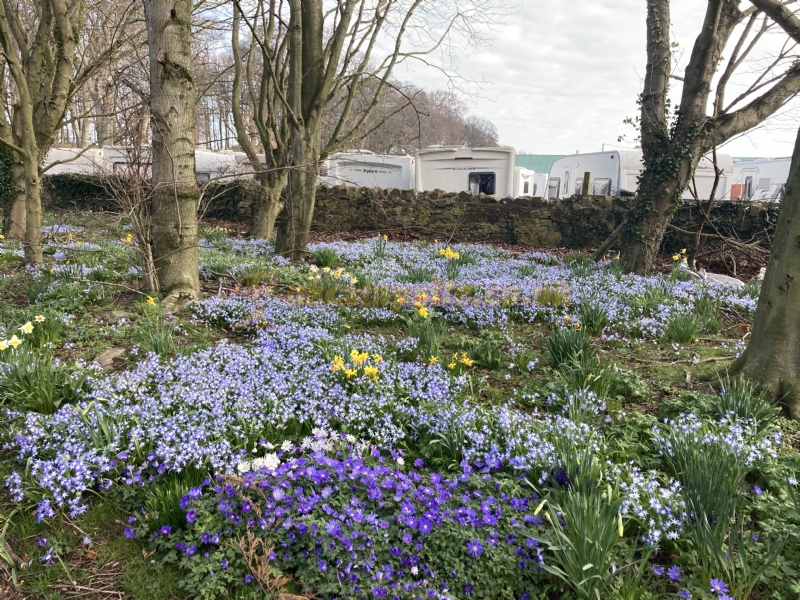 Elford Farm Caravan Park