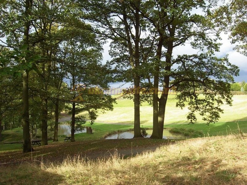 Yew Tree Farm Caravan Park