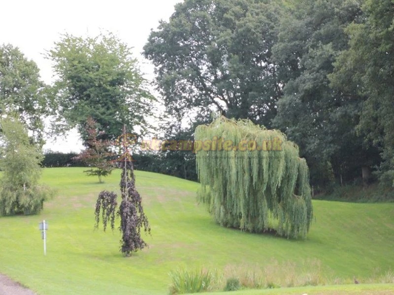 Yew Tree Farm Caravan Park