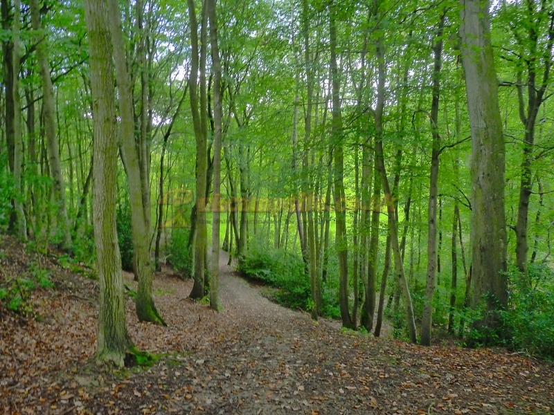 Yew Tree Farm Caravan Park