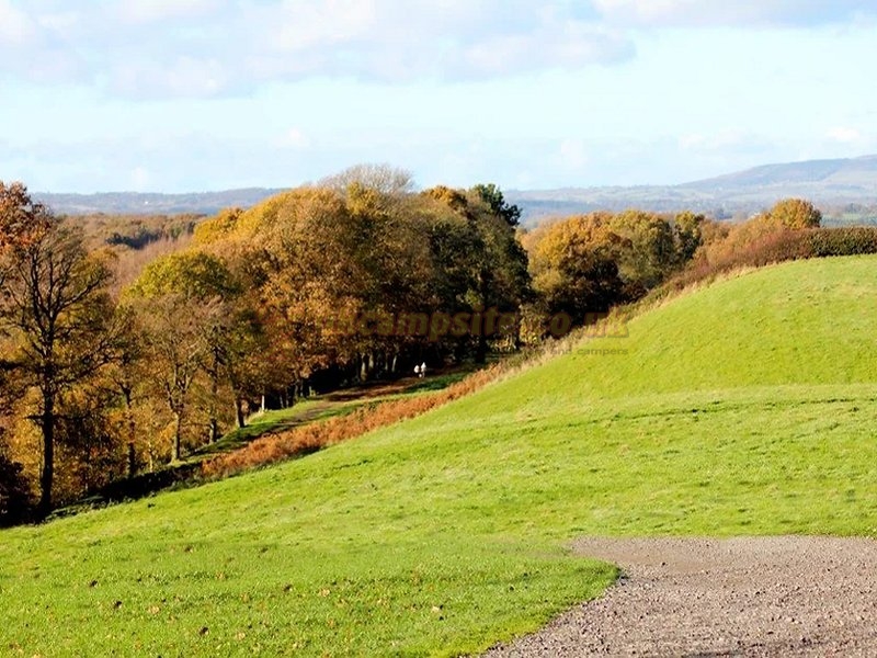 Yew Tree Farm Caravan Park