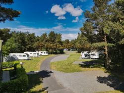 Ladycross Plantation Caravan Park