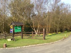 Ladycross Plantation Caravan Park
