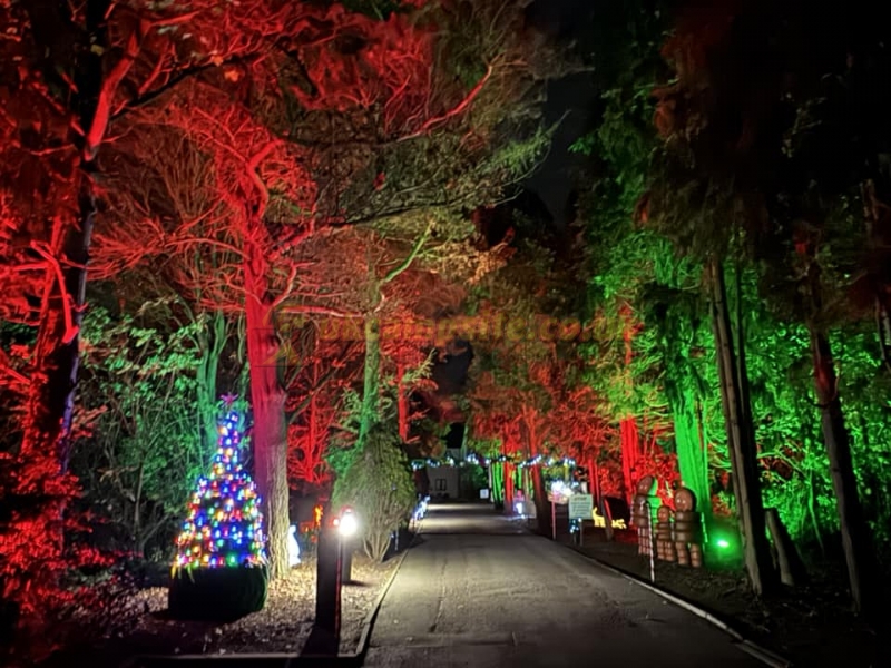 Ashfield Touring Caravan Park