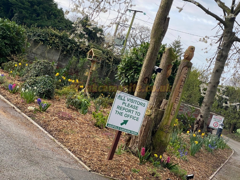 Ashfield Touring Caravan Park