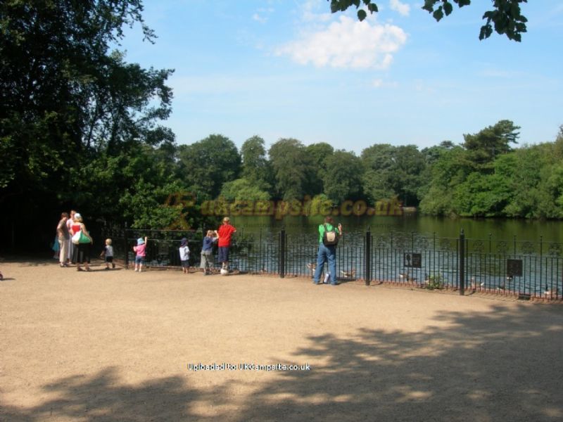 Hartsholme Country Park Campsite