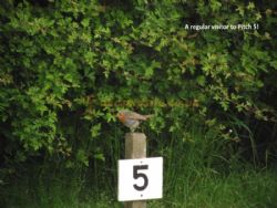 Keal Lodge Caravan Park