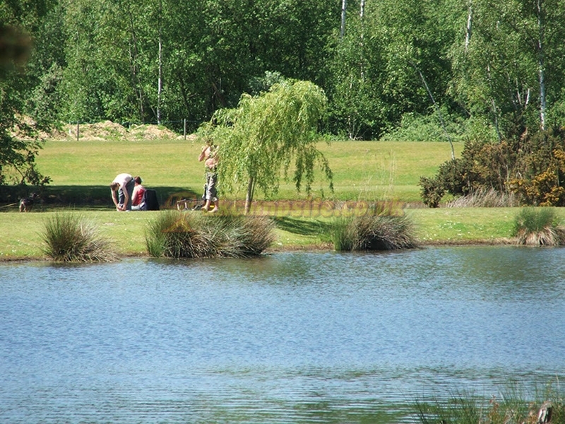 Willow Holt Caravan And Camping Park