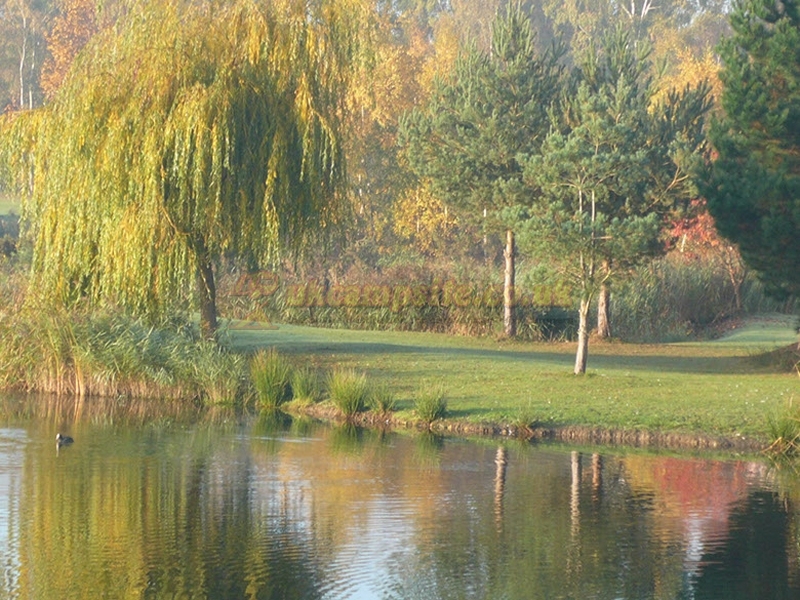 Willow Holt Caravan And Camping Park
